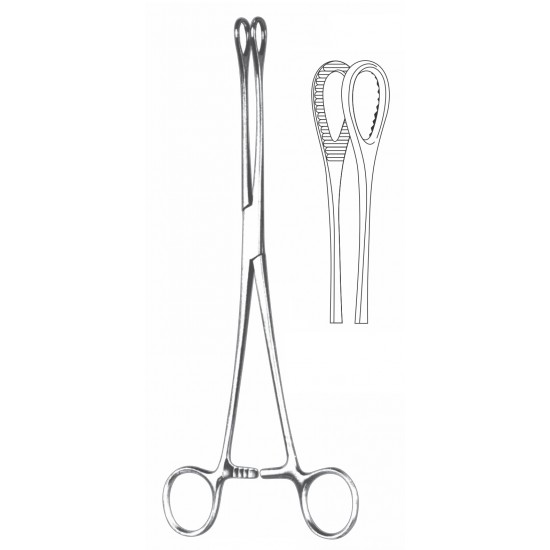 FOERSTER SPONGE FORCEP SERR STR 25CM