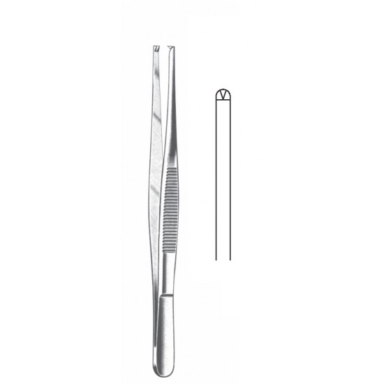 TISSUE FORCEP 1X2 TEETH 25CM