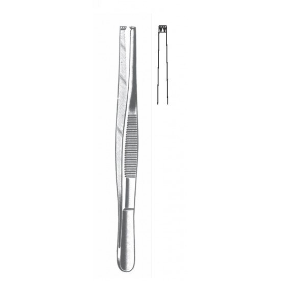 TISSUE FORCEP 2X3 TEETH 13CM