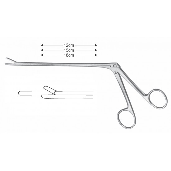 LOVE GRUENWALD LEMINECTOMY RONGUER 3X10mm STR 18CM