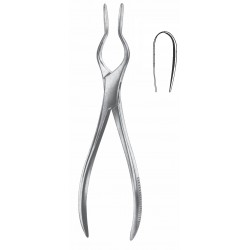 COTTLE-WALSHAM SEPTUM FORCEP RIGHT 23CM